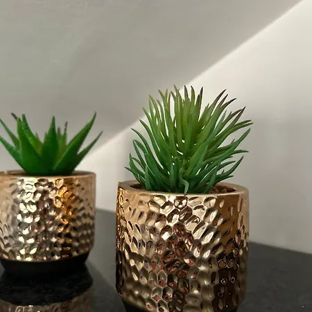 Appart' Cooconing - Champs Elysees - Netflix Apartman